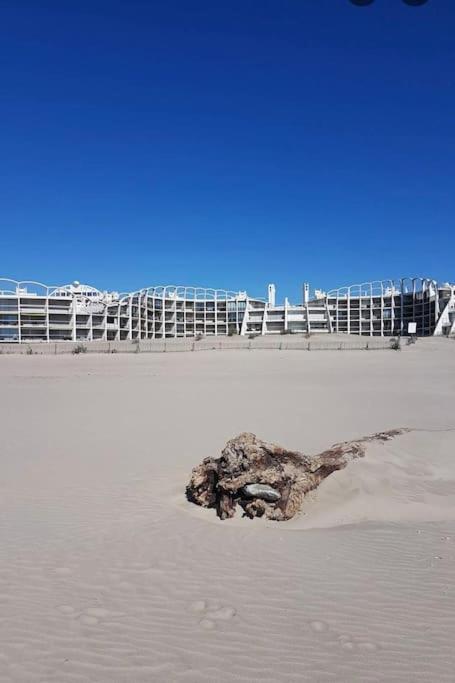 Belles Plages 1 Ere Ligne Climatise La Grande-Motte
